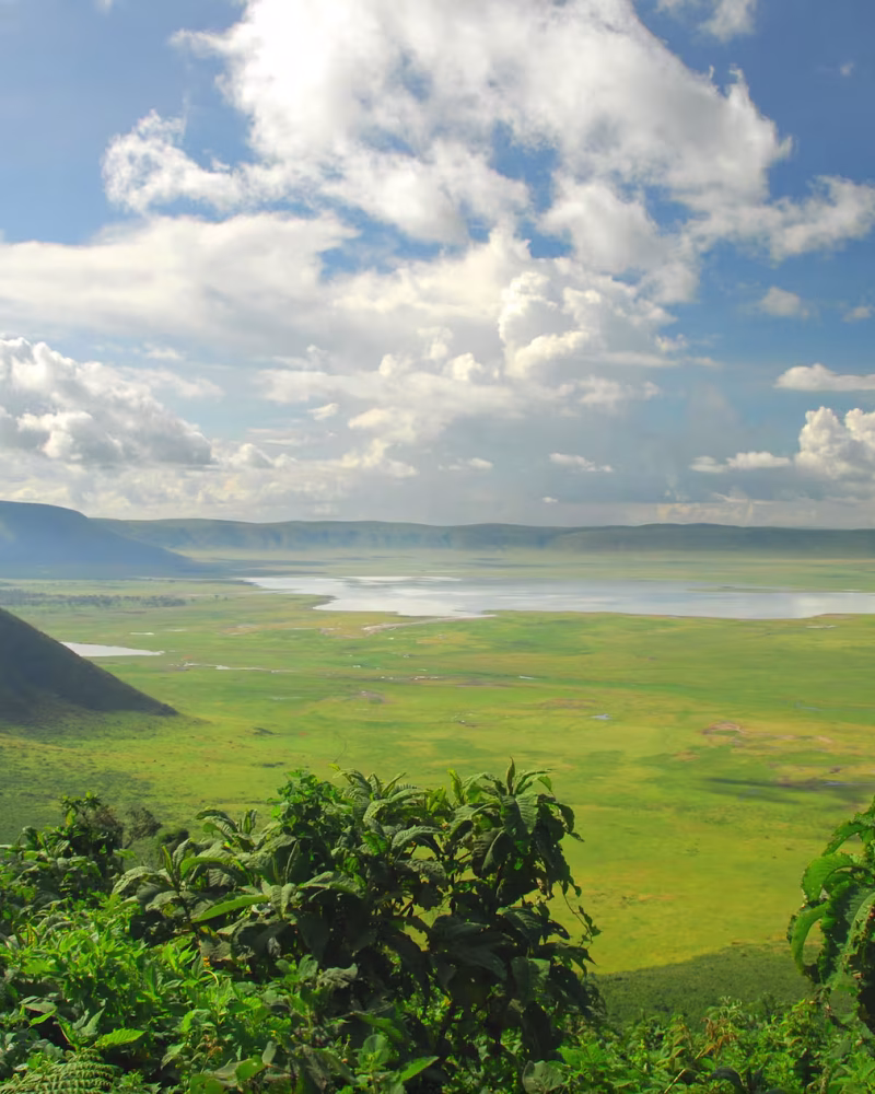 B5tLWyE38RoACA4h5ZLx B5tLWyE38RoACA4h5ZLx