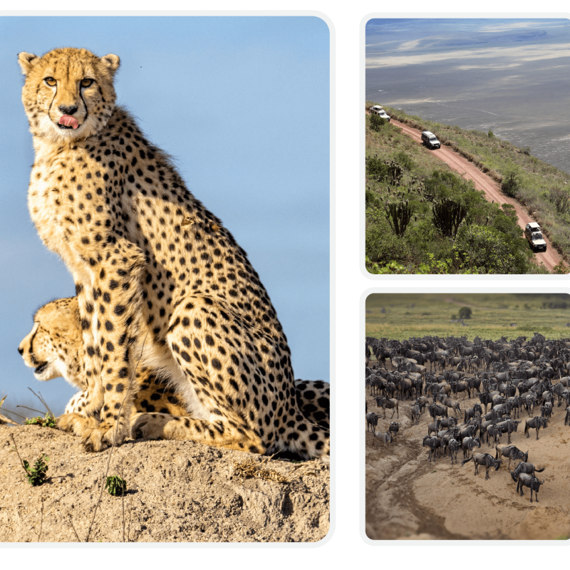 Image group 2222-01-min Image group 2222-01-min