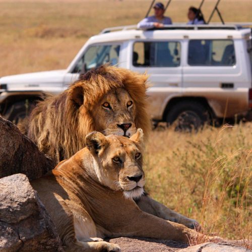 alamy-1712406661 alamy-1712406661